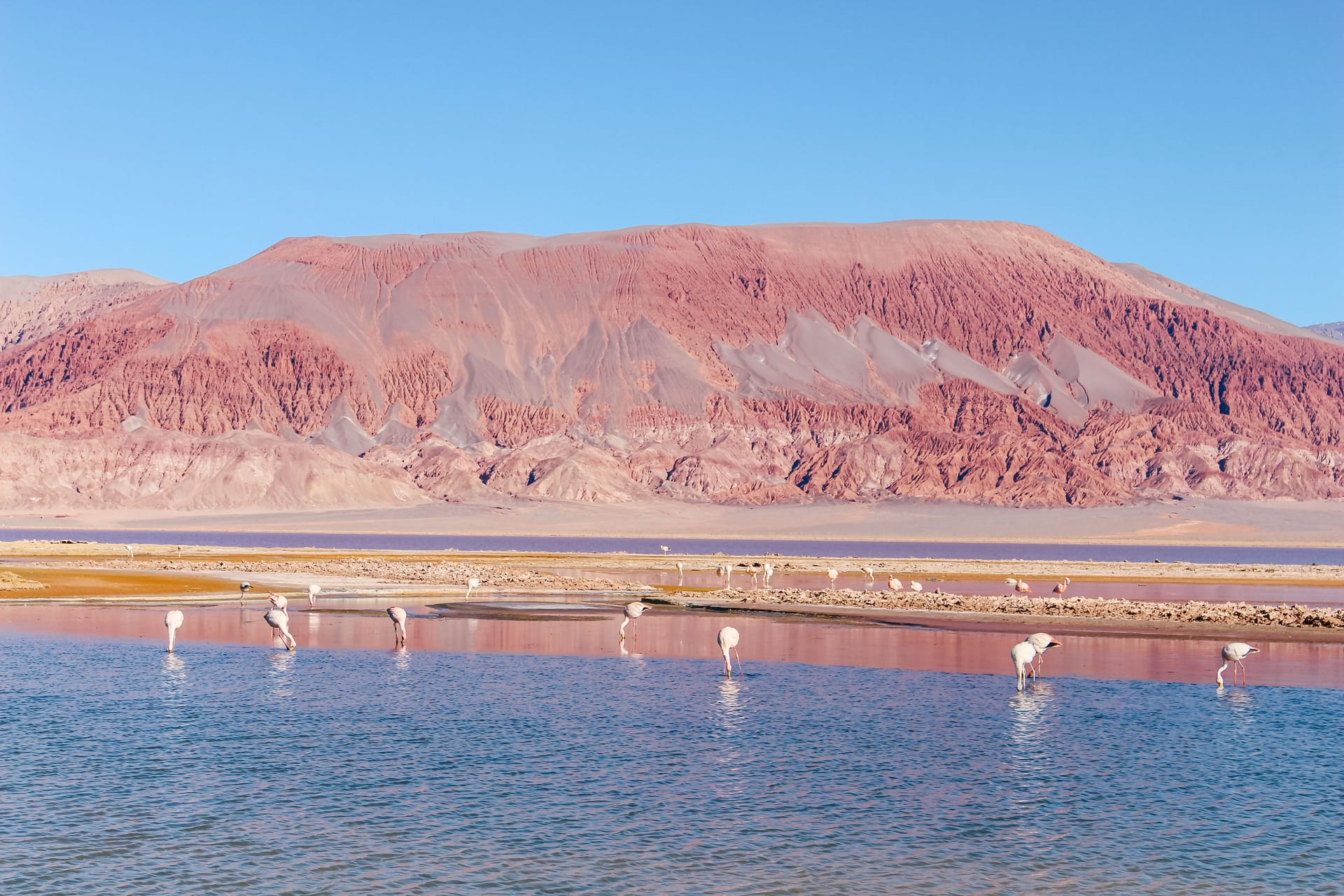 Puna catamarqueña